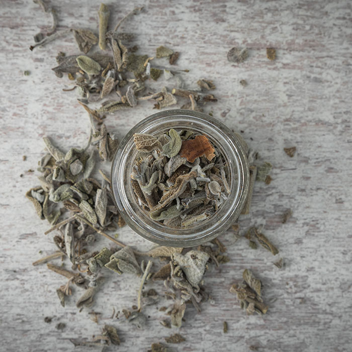 Salvia Salvia