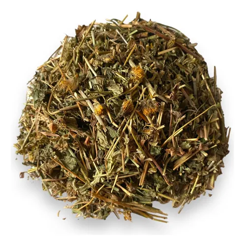 diente_leon Diente de león